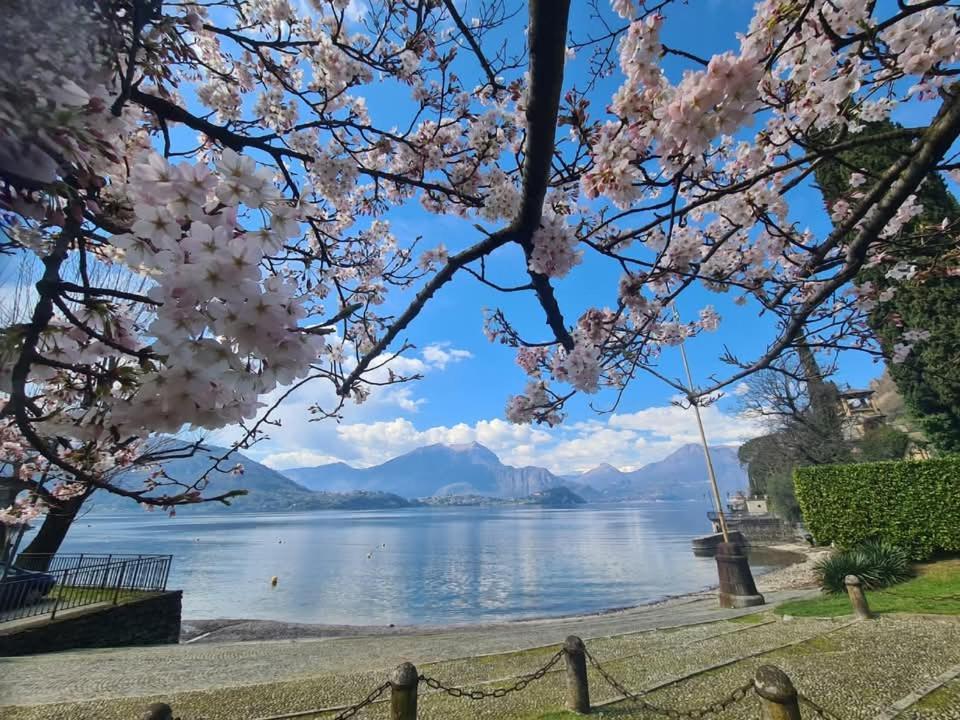 Laura'S Cottage With Lake View, Detached, 5 Kilometers From Varenna Lierna Extérieur photo